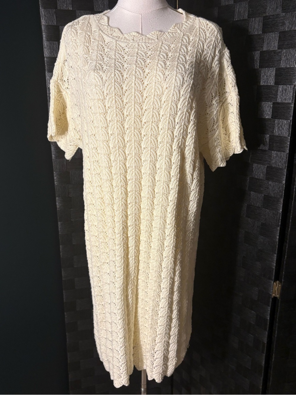 A New Day Cream Pointelle Knit Sweater Dress Short Sleeve Scalloped Mini Lined